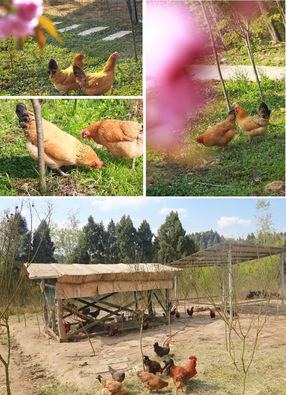 伊斯坦堡奇跡夜 视频截图