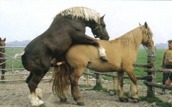 你的情歌 视频截图