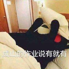 俄羅斯突襲 产品图片