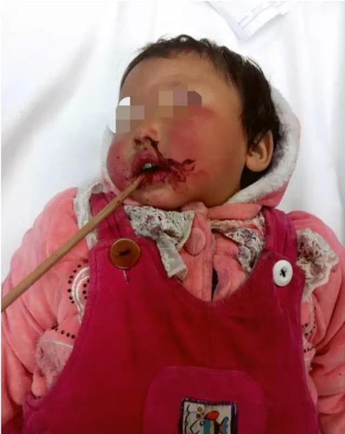 他的自傳 视频截图