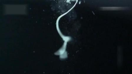 埃及豔後的任務 产品图片