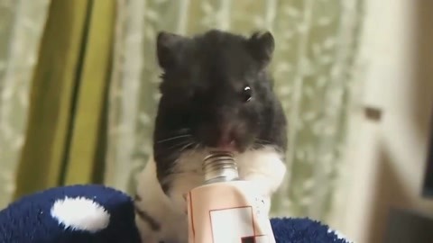 冰河時代 视频截图