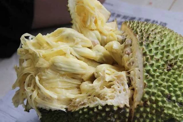 你是我的歸宿 视频截图