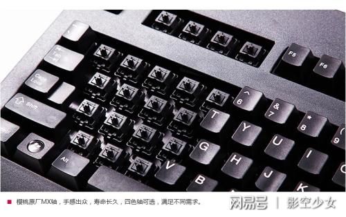 僵屍之地 视频截图