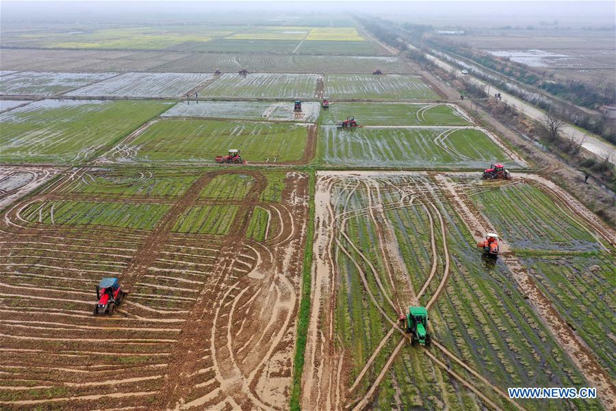 伊莎貝拉（粵語版） 视频截图