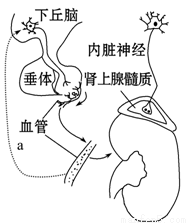 你是彼方 视频截图