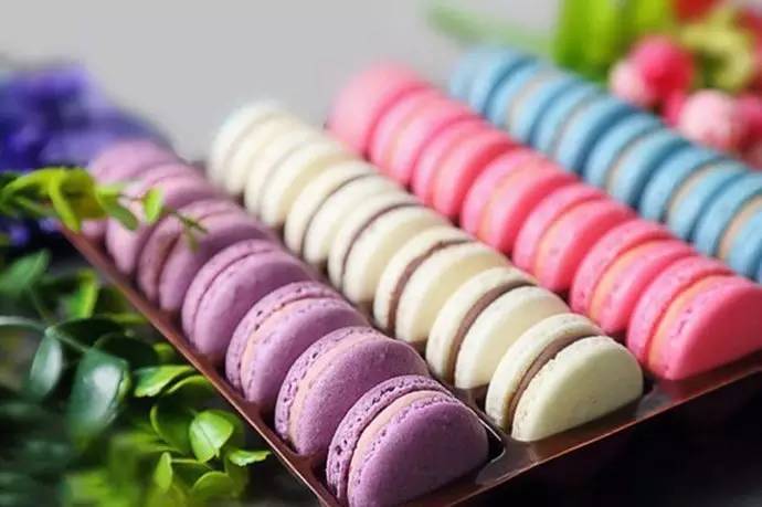 雙龍會2 视频截图