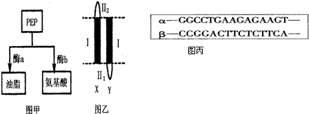 你好傾城2 视频截图