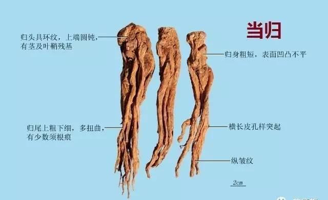 傳說中的故鄉 视频截图