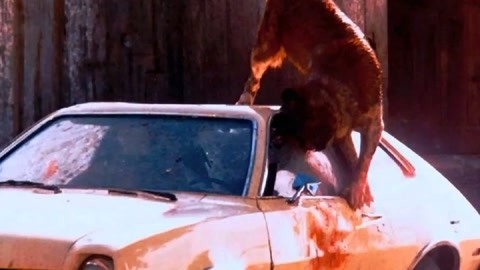 冷室裏有很多走廊 视频截图