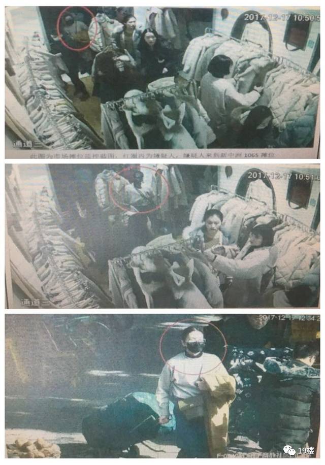 侏羅紀寵物曆險記：重返野外 视频截图