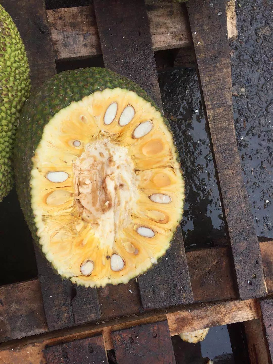 兒子的大玩偶 视频截图