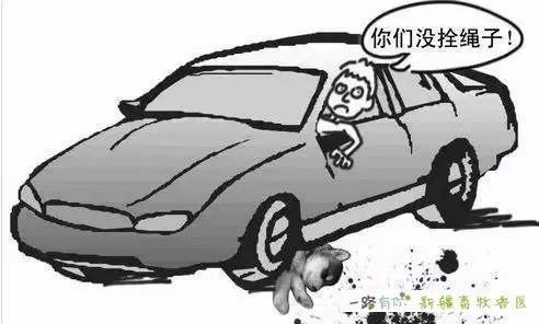 仙履奇緣 视频截图