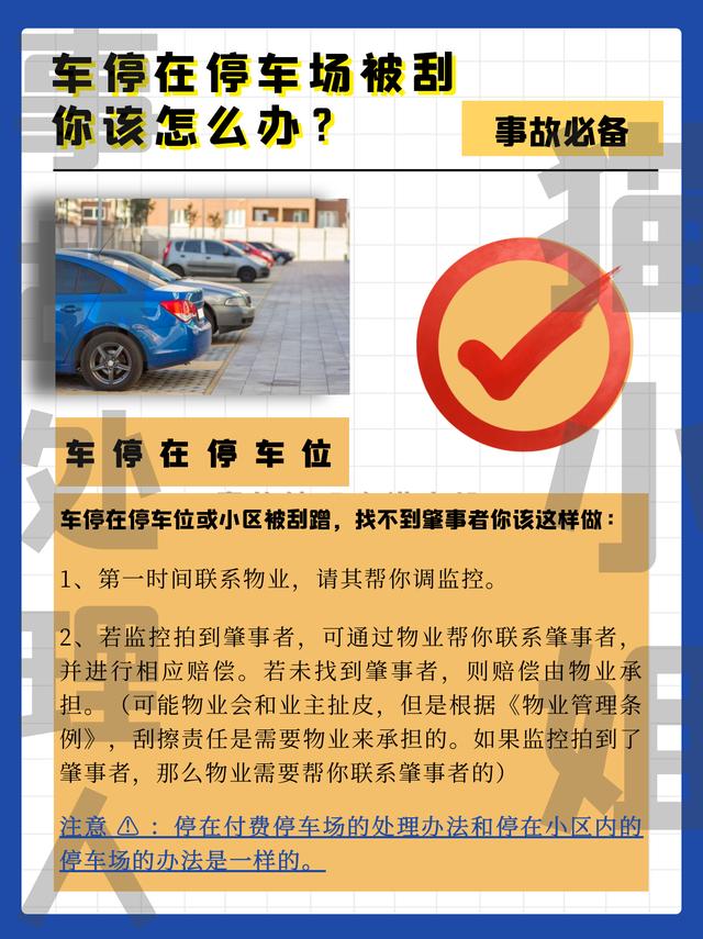 冒牌刺客 视频截图