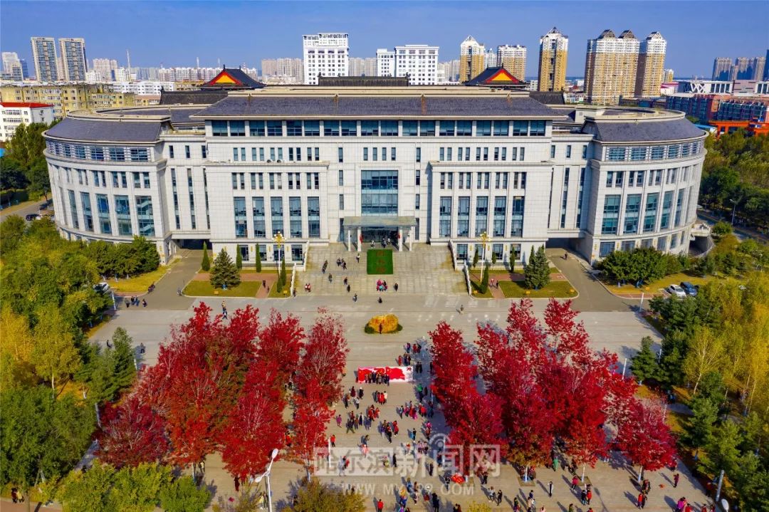 僵屍之地 视频截图