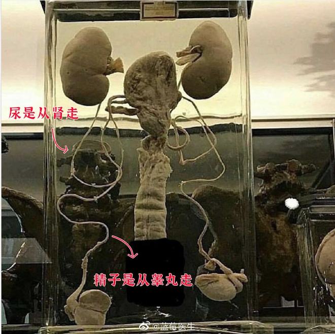 優雅的相遇 产品图片