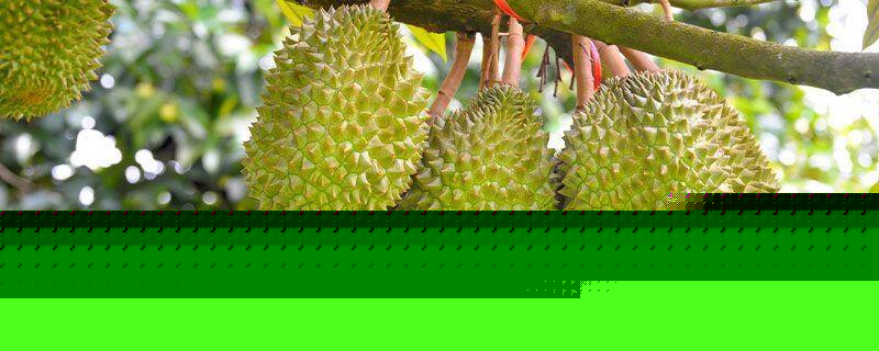 決鬥的人 视频截图