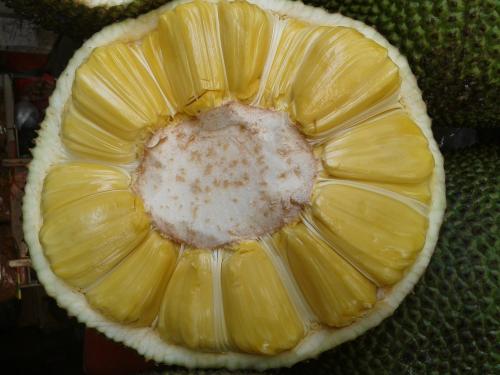 外星罪孽（原聲版） 视频截图