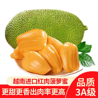 你的情歌 视频截图