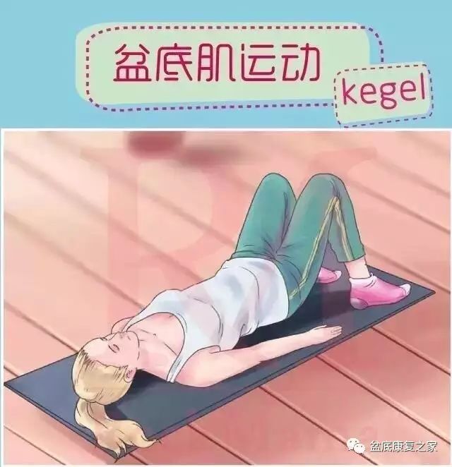 侏羅紀公園 视频截图