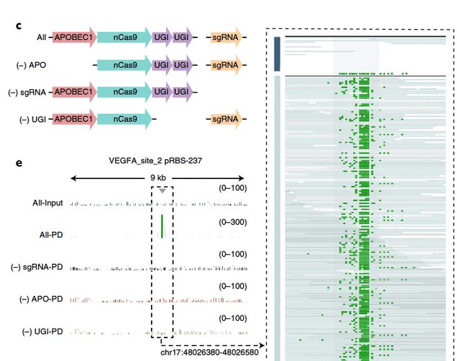 冰火鳳 视频截图