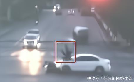 伯納德行動（原聲版） 视频截图