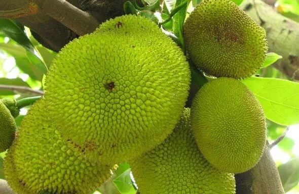 以青春之名 视频截图