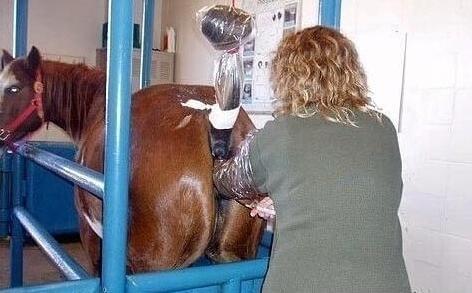 傭兵之戰 视频截图