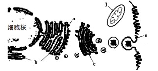 傳奇與蝴蝶 视频截图