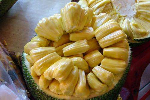 僵屍怕怕 视频截图