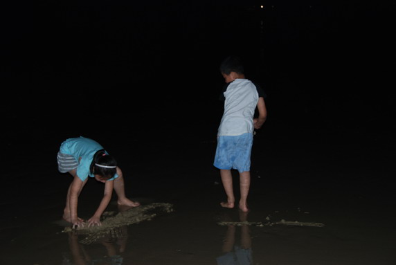 四大名捕大結局（國語版） 视频截图