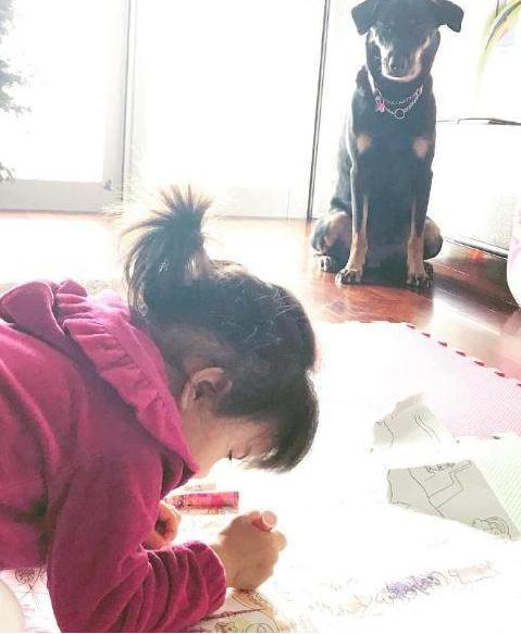 出嫁女 产品图片