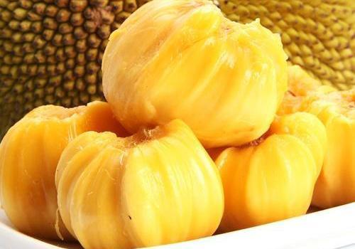 冰河時代 产品图片