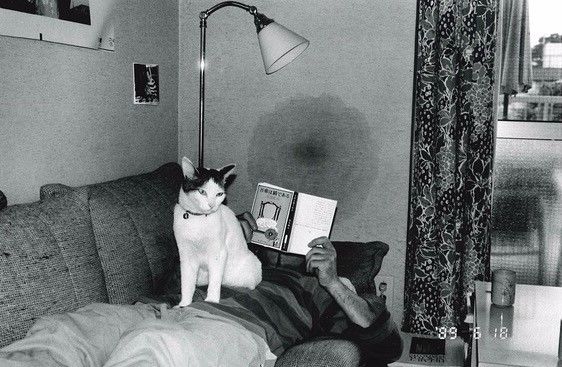 你瞅啥？外星人 产品图片