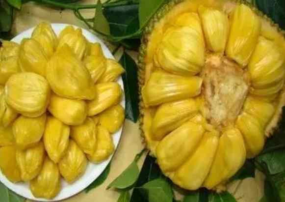 催化劑 视频截图