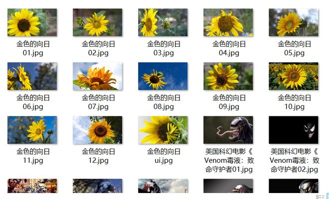 因愛富有 视频截图