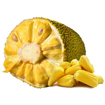 健介的王國 视频截图