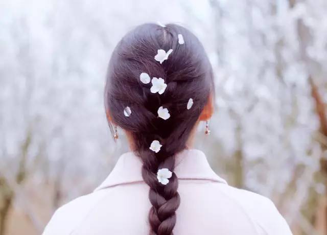 仙貓傳 视频截图