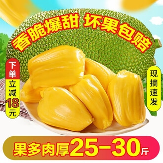 伴我夢遊 视频截图