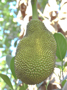 和爸爸在一起的3天 产品图片