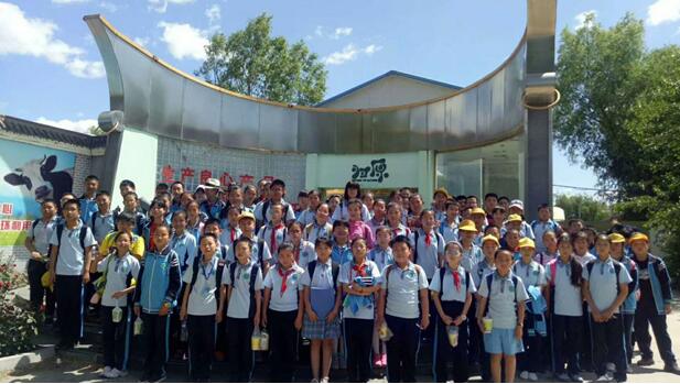 冬去冬又來 产品图片