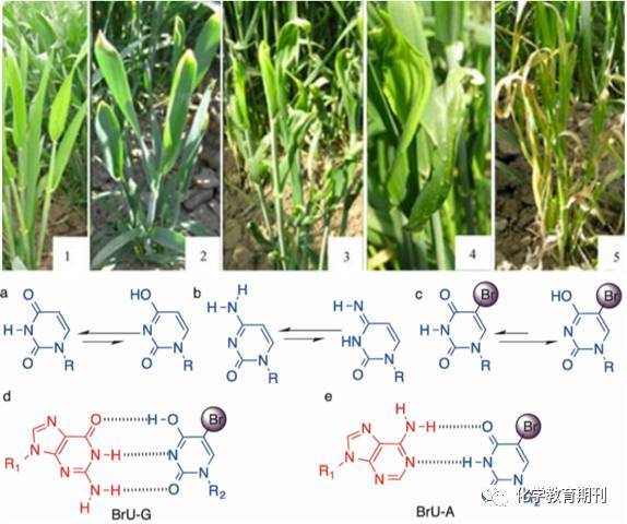 保護者 视频截图