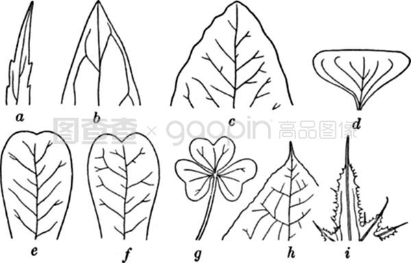 衝浪驚魂 视频截图
