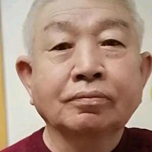 侵犯 2024 产品图片