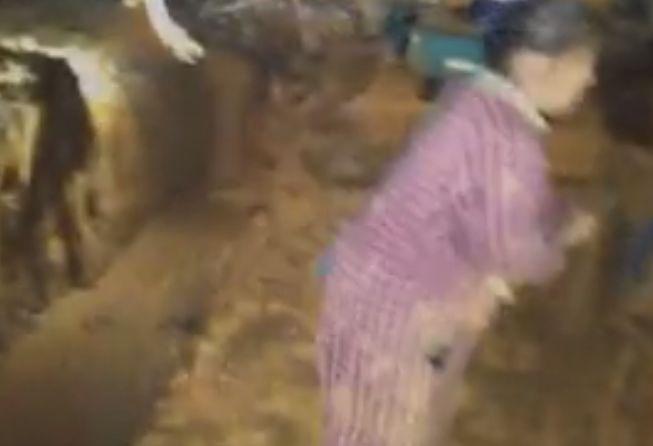 冥府使者 视频截图