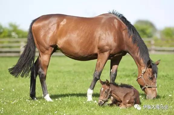 保持沉默的朱莉 视频截图
