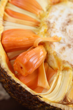 代立軍 视频截图