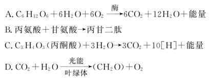 使徒行者2：諜影行動（粵語版） 视频截图