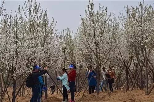 傳說中的故鄉 视频截图