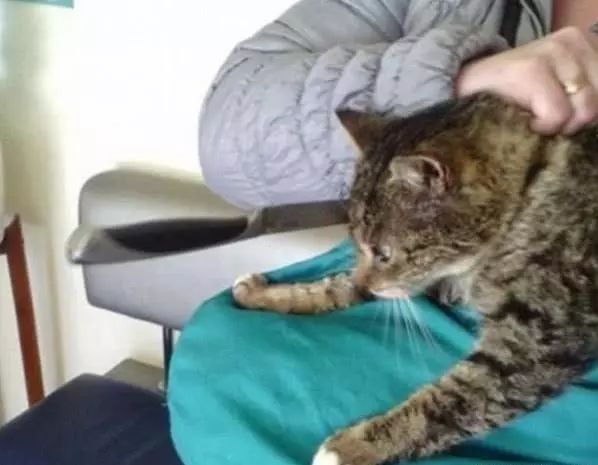 僵屍獎門人 视频截图